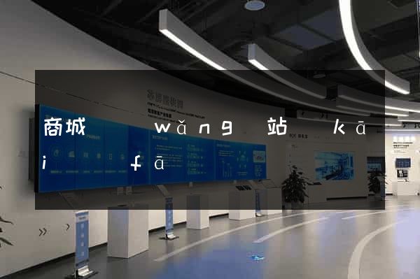 商城類網(wǎng)站開(kāi)發(fā)