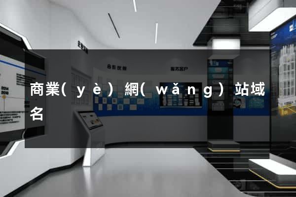 商業(yè)網(wǎng)站域名