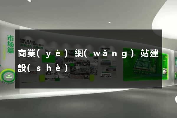 商業(yè)網(wǎng)站建設(shè)