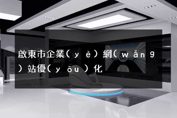 啟東市企業(yè)網(wǎng)站優(yōu)化