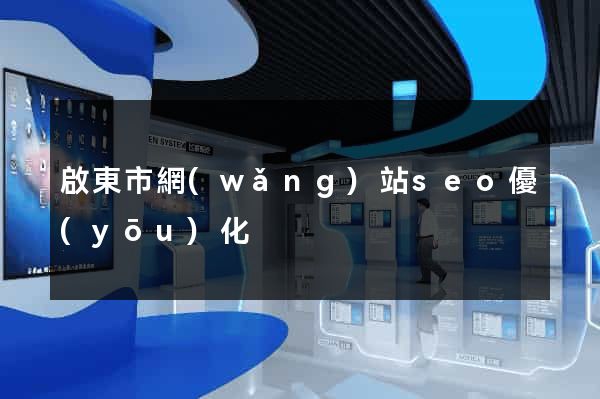 啟東市網(wǎng)站seo優(yōu)化