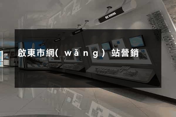 啟東市網(wǎng)站營銷