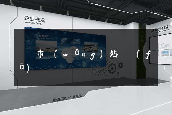 啟東市網(wǎng)站開發(fā)