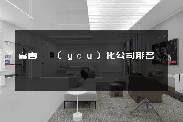 嘉善縣優(yōu)化公司排名