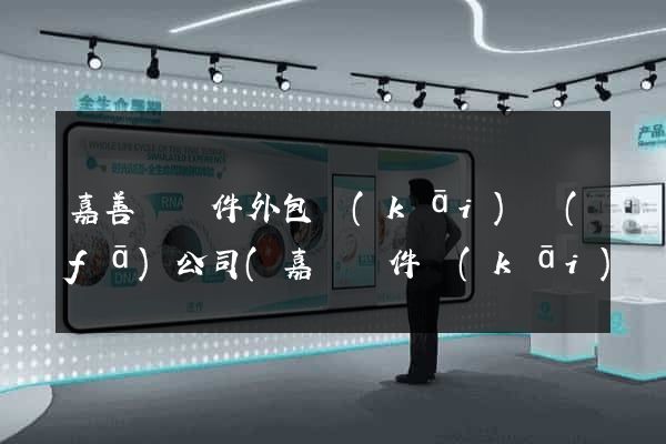 嘉善縣軟件外包開(kāi)發(fā)公司(嘉興軟件開(kāi)發(fā)外包)