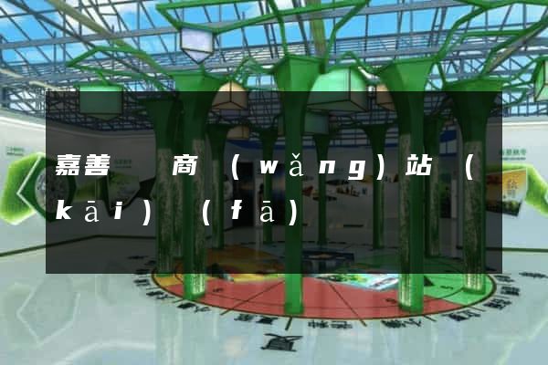 嘉善縣電商網(wǎng)站開(kāi)發(fā)