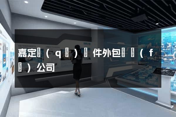 嘉定區(qū)軟件外包開發(fā)公司