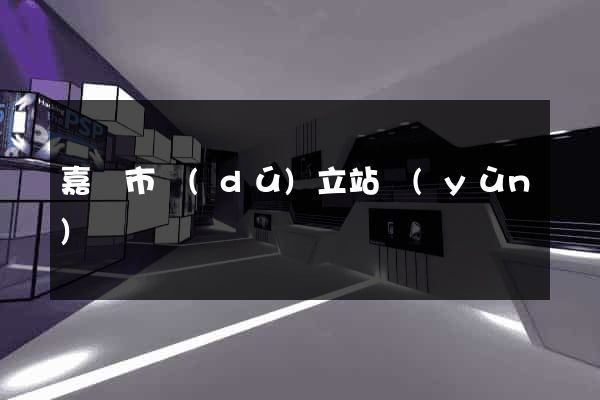 嘉興市獨(dú)立站運(yùn)營