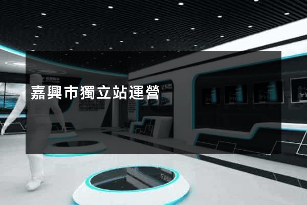 嘉興市獨立站運營