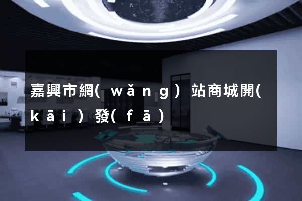 嘉興市網(wǎng)站商城開(kāi)發(fā)