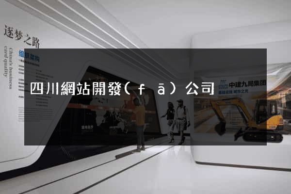 四川網站開發(fā)公司