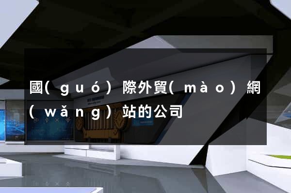 國(guó)際外貿(mào)網(wǎng)站的公司