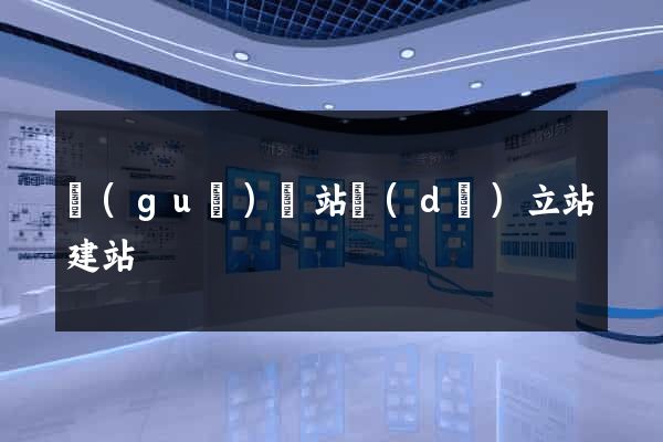 國(guó)際站獨(dú)立站建站