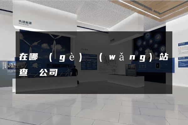 在哪個(gè)網(wǎng)站查詢公司