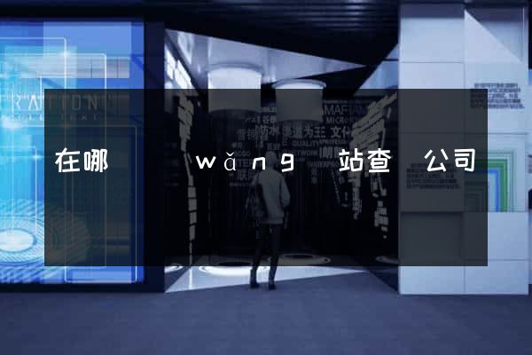 在哪個網(wǎng)站查詢公司