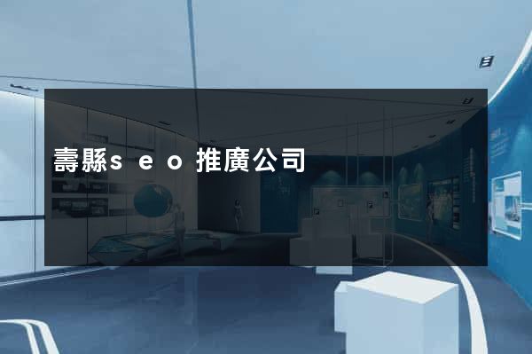 壽縣seo推廣公司