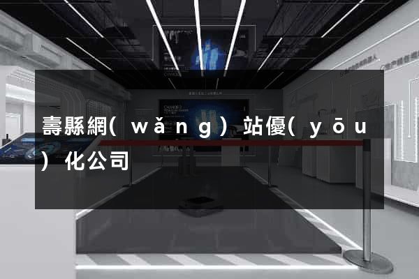 壽縣網(wǎng)站優(yōu)化公司