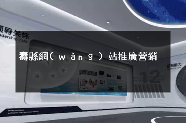 壽縣網(wǎng)站推廣營銷
