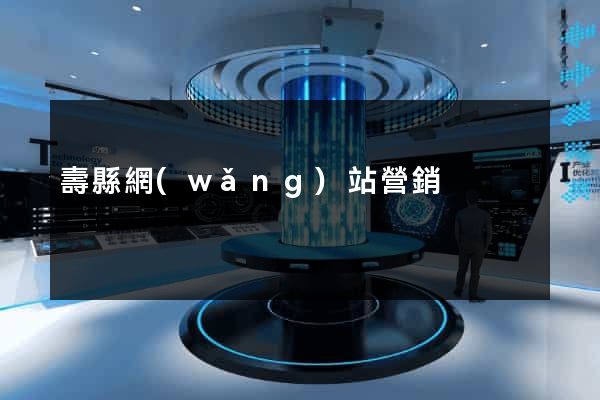 壽縣網(wǎng)站營銷