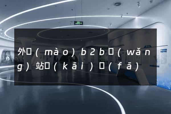 外貿(mào)b2b網(wǎng)站開(kāi)發(fā)