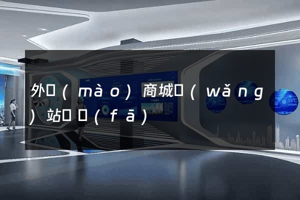 外貿(mào)商城網(wǎng)站開發(fā)