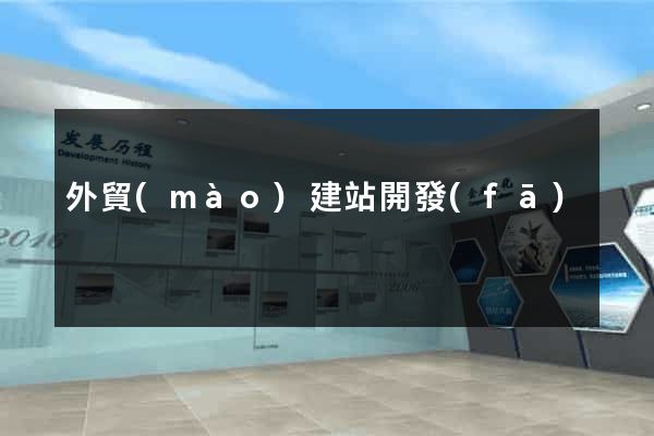 外貿(mào)建站開發(fā)