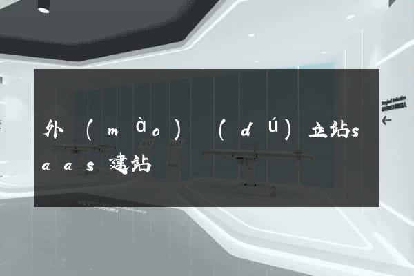 外貿(mào)獨(dú)立站saas建站