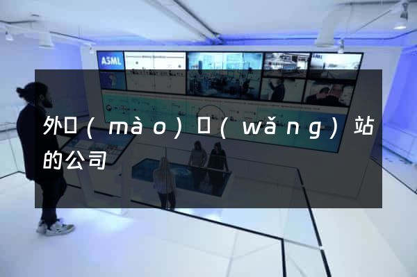 外貿(mào)網(wǎng)站的公司