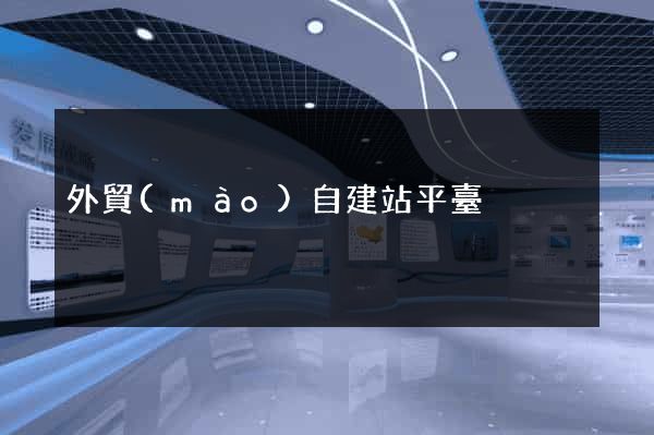 外貿(mào)自建站平臺