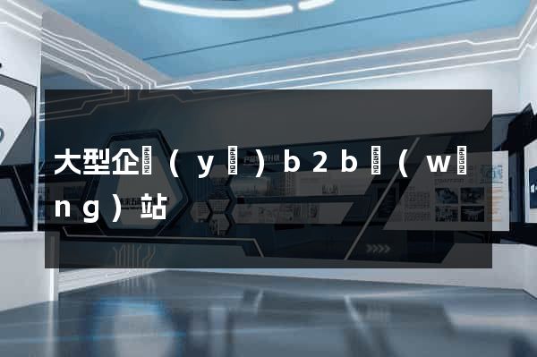 大型企業(yè)b2b網(wǎng)站