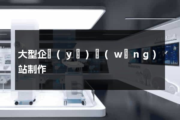大型企業(yè)網(wǎng)站制作