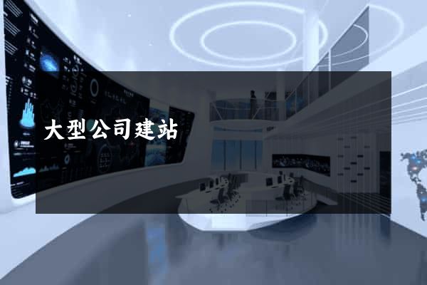 大型公司建站