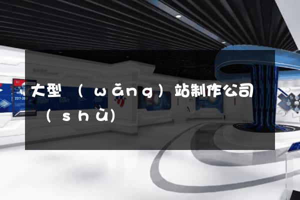 大型網(wǎng)站制作公司飛數(shù)