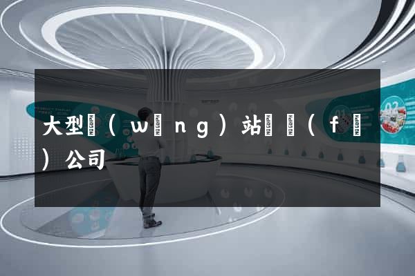 大型網(wǎng)站開發(fā)公司