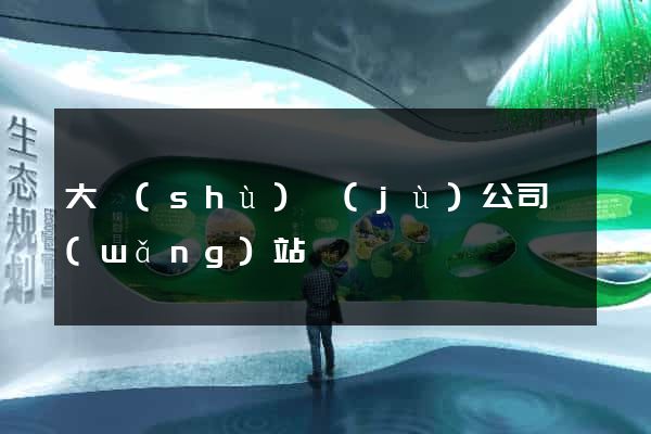大數(shù)據(jù)公司網(wǎng)站