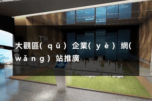 大觀區(qū)企業(yè)網(wǎng)站推廣