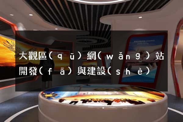 大觀區(qū)網(wǎng)站開發(fā)與建設(shè)