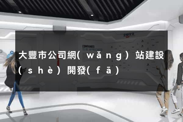 大豐市公司網(wǎng)站建設(shè)開發(fā)
