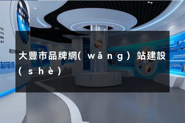 大豐市品牌網(wǎng)站建設(shè)