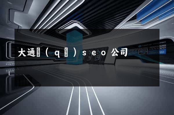 大通區(qū)seo公司