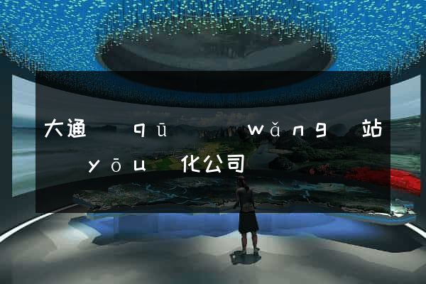 大通區(qū)網(wǎng)站優(yōu)化公司