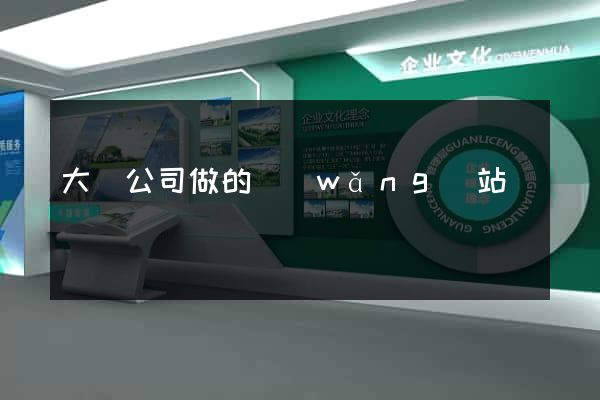 大連公司做的網(wǎng)站