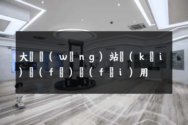 大連網(wǎng)站開(kāi)發(fā)費(fèi)用