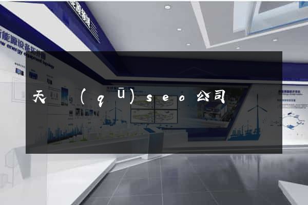 天寧區(qū)seo公司