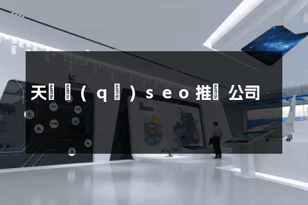 天寧區(qū)seo推廣公司