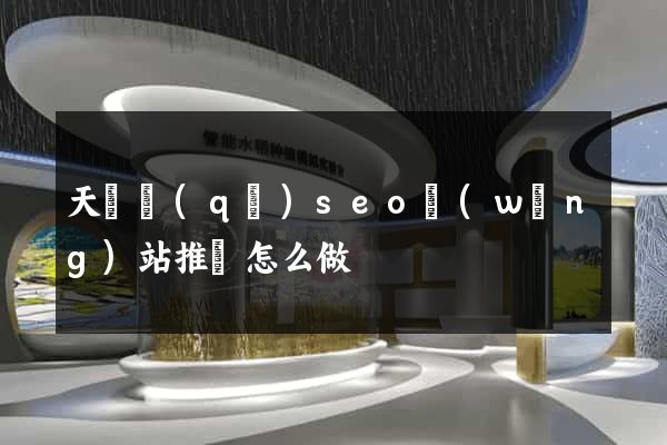 天寧區(qū)seo網(wǎng)站推廣怎么做