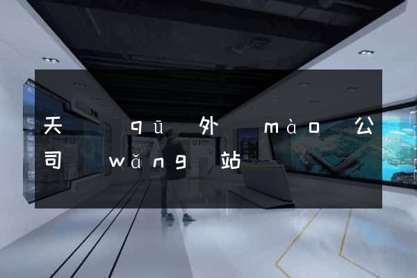 天寧區(qū)外貿(mào)公司網(wǎng)站