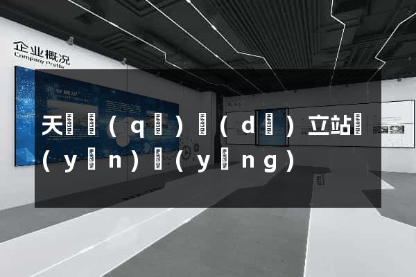 天寧區(qū)獨(dú)立站運(yùn)營(yíng)