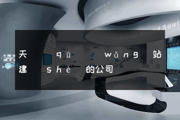天寧區(qū)網(wǎng)站建設(shè)的公司