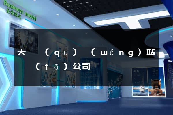 天寧區(qū)網(wǎng)站開發(fā)公司
